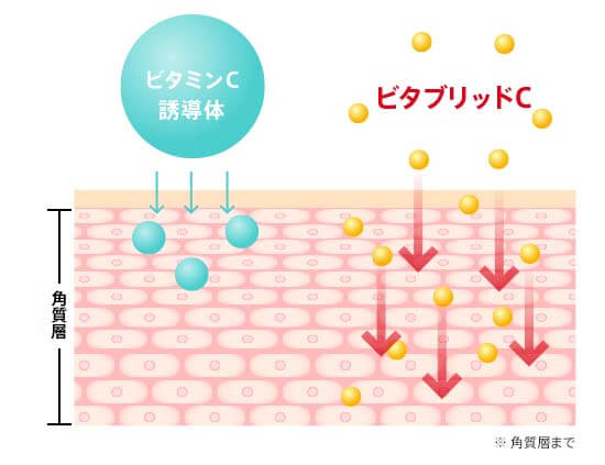 ビタブリッド　浸透　比較