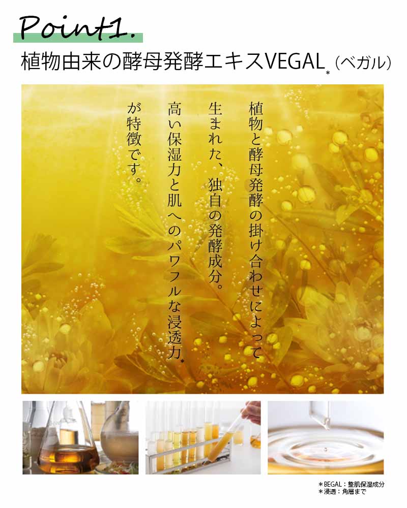 アルケミー　成分ポイント①