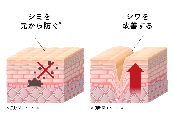アスタリフトホワイト ナイアシンアミド