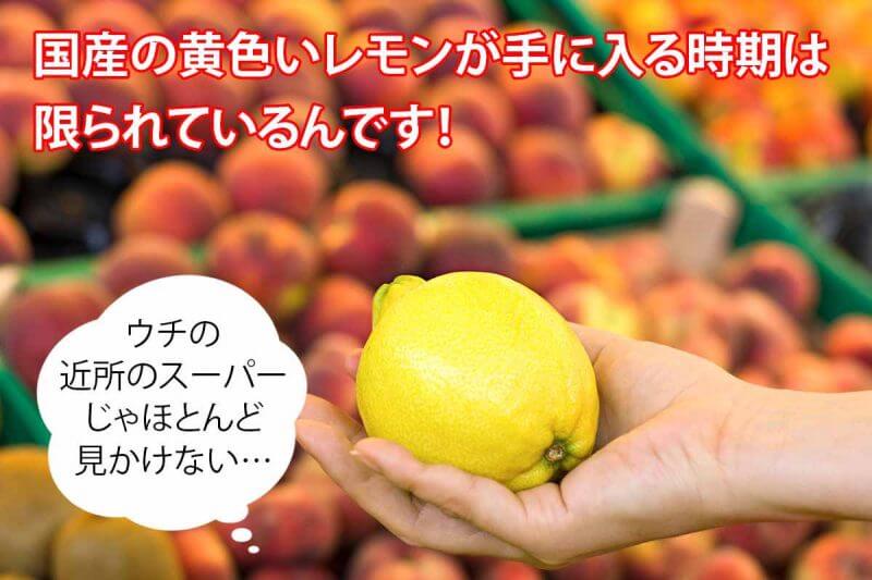 輪切りレモンはちみつ漬　スーパー