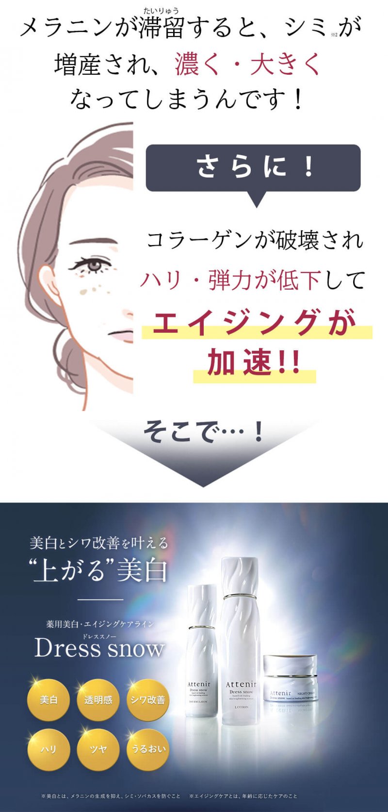 ドレススノー14日 補足