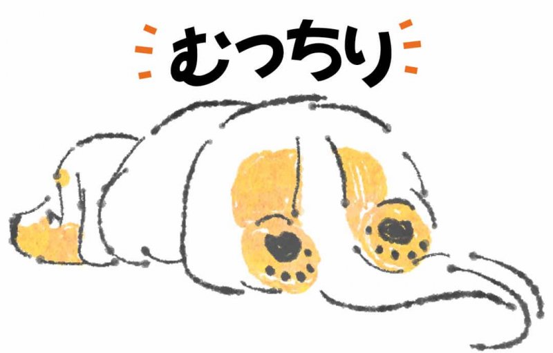 このこのふりかけ　肥満