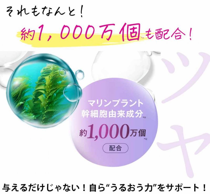 カナデルプレミアゼロ　成分２