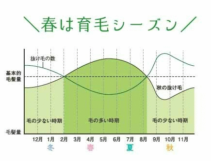 リリィジュ　春は育毛シーズン