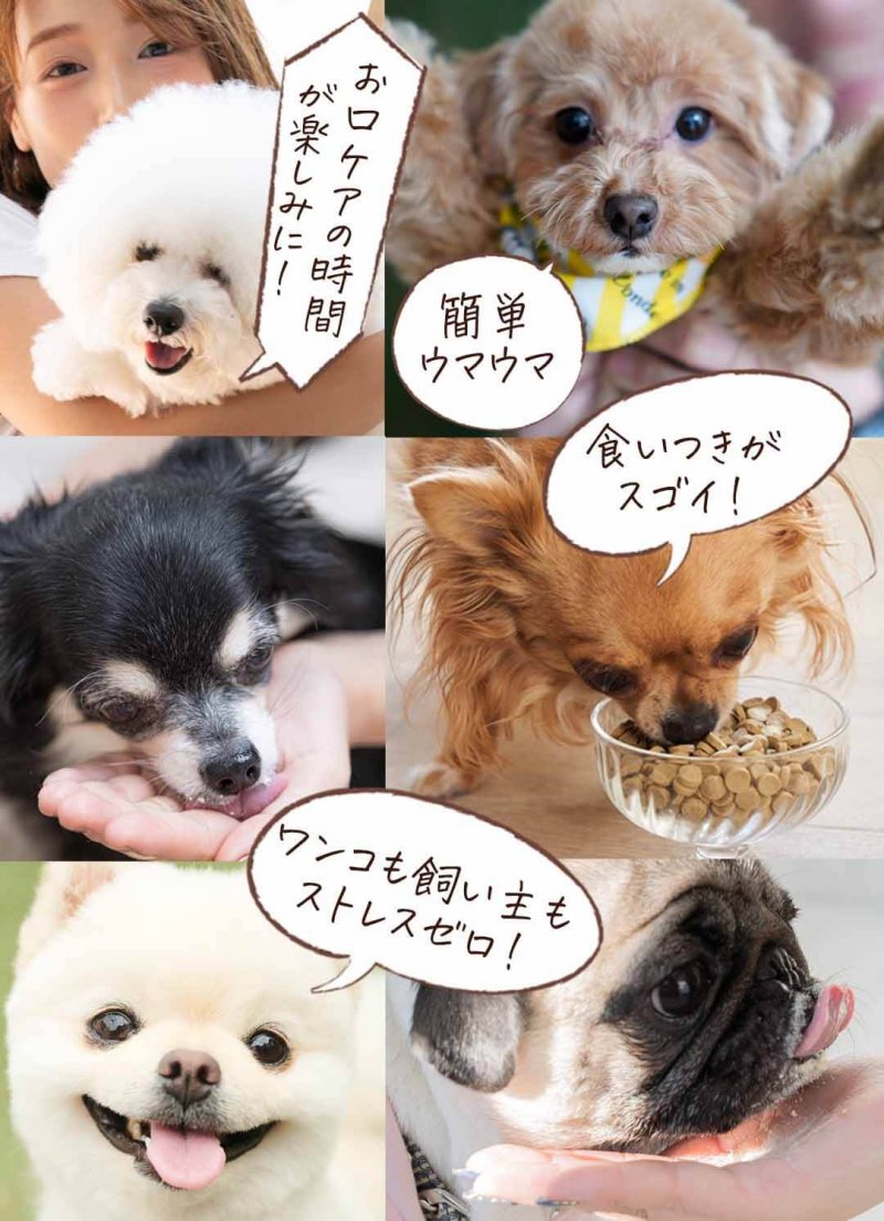 このこのふりかけ　コラージュ