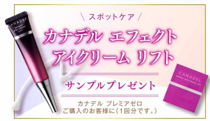 カナデルプレミアゼロ　アイクリームパウチ付き