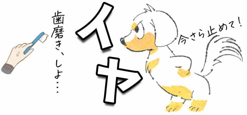 このこのふりかけ　歯磨きイヤ