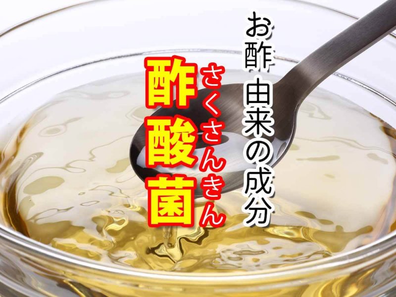 ディアレ 酢酸菌