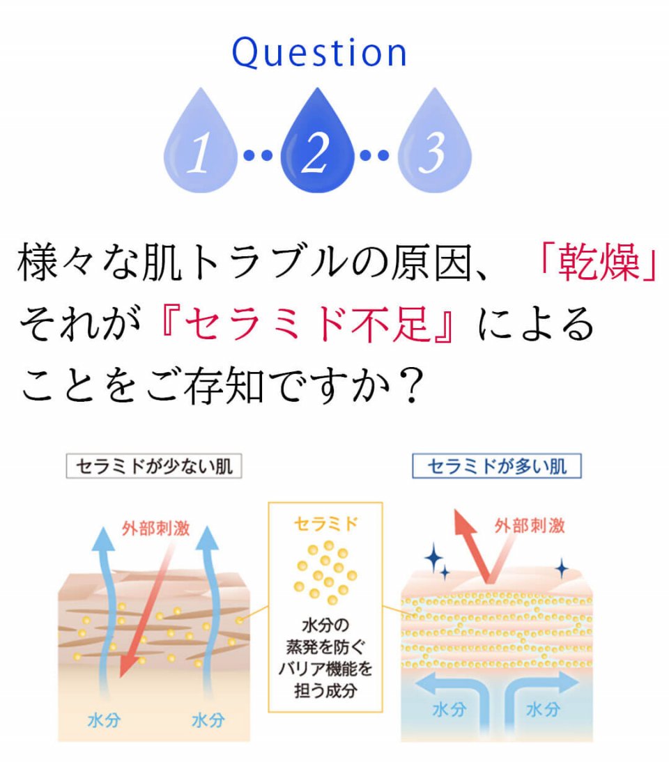 ライスフォース 質問2