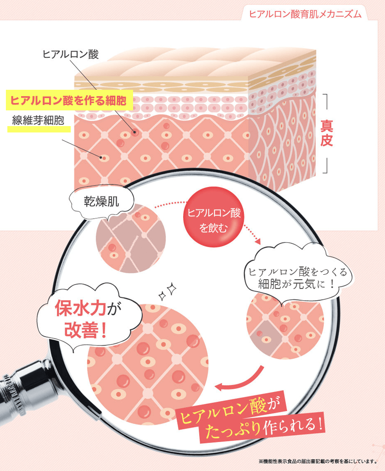 ヒアロモイスチャー240