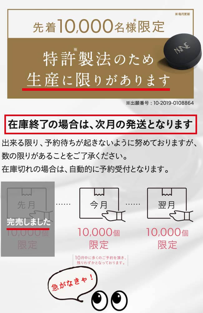NNE　数量限定オファー