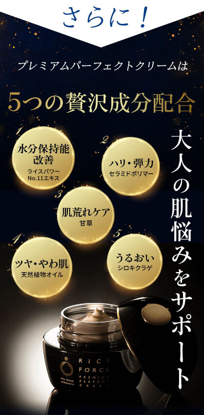 ライスフォース　さらにプレミアムパーフェクトクリームは