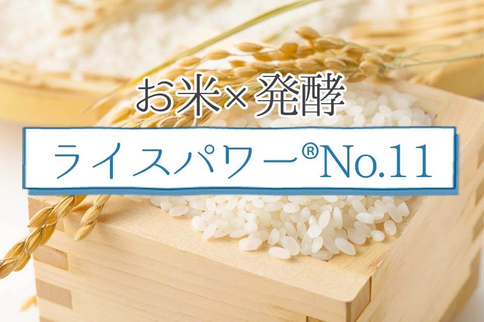 米肌レビュー記事