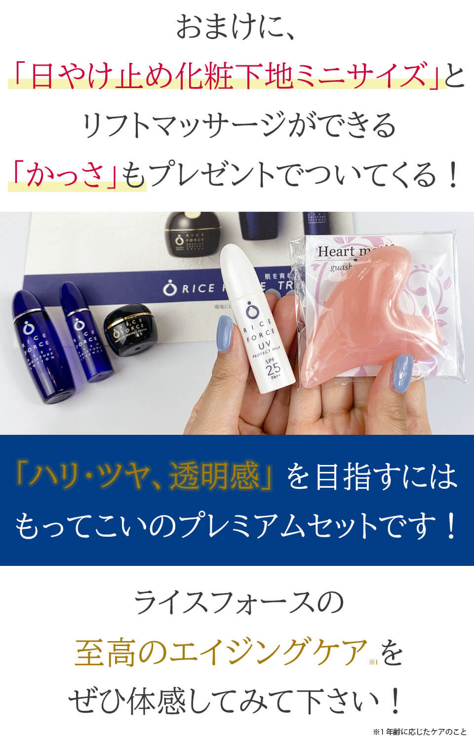 ライスフォース　プレミアムトライアルセット