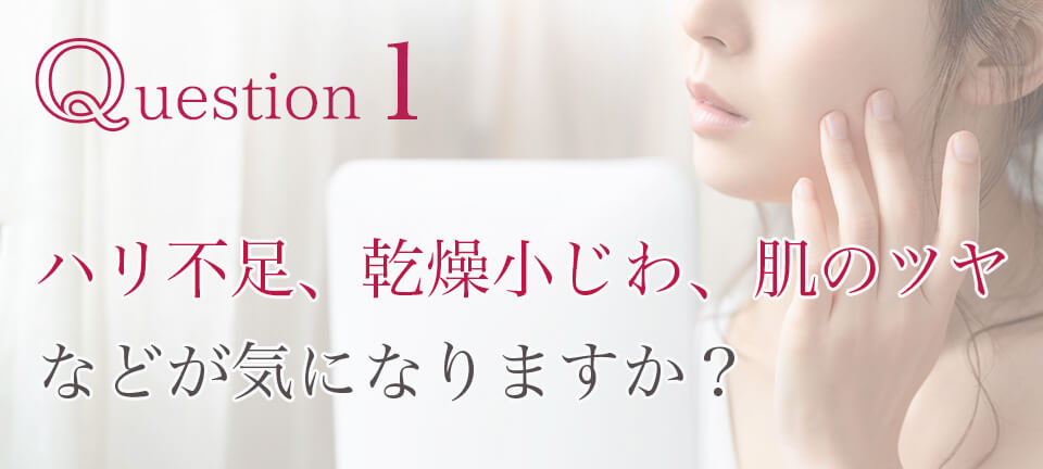 ドレスリフト