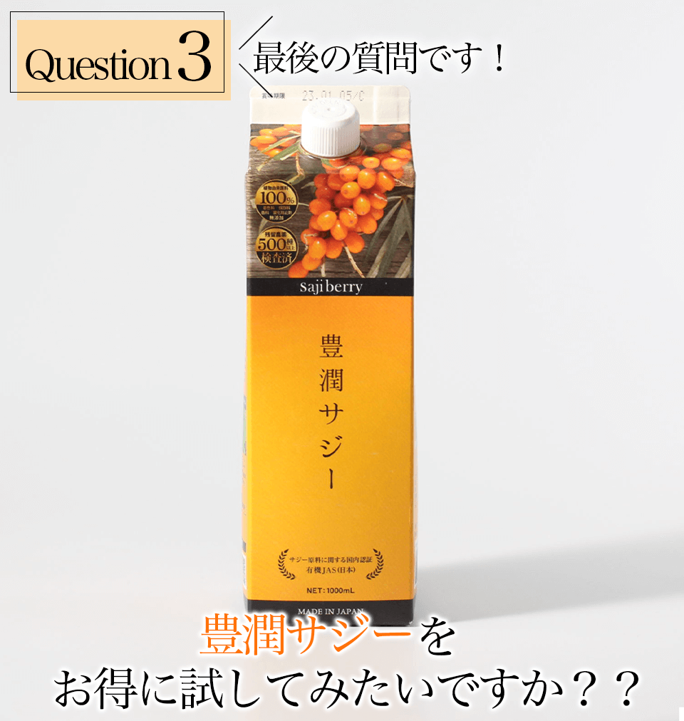 豊潤サジー