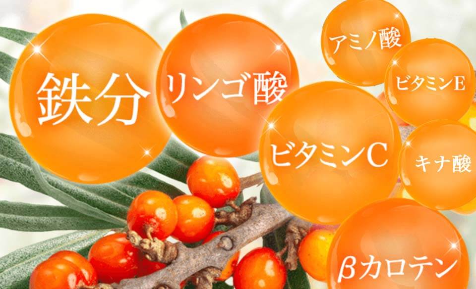 豊潤サジー
