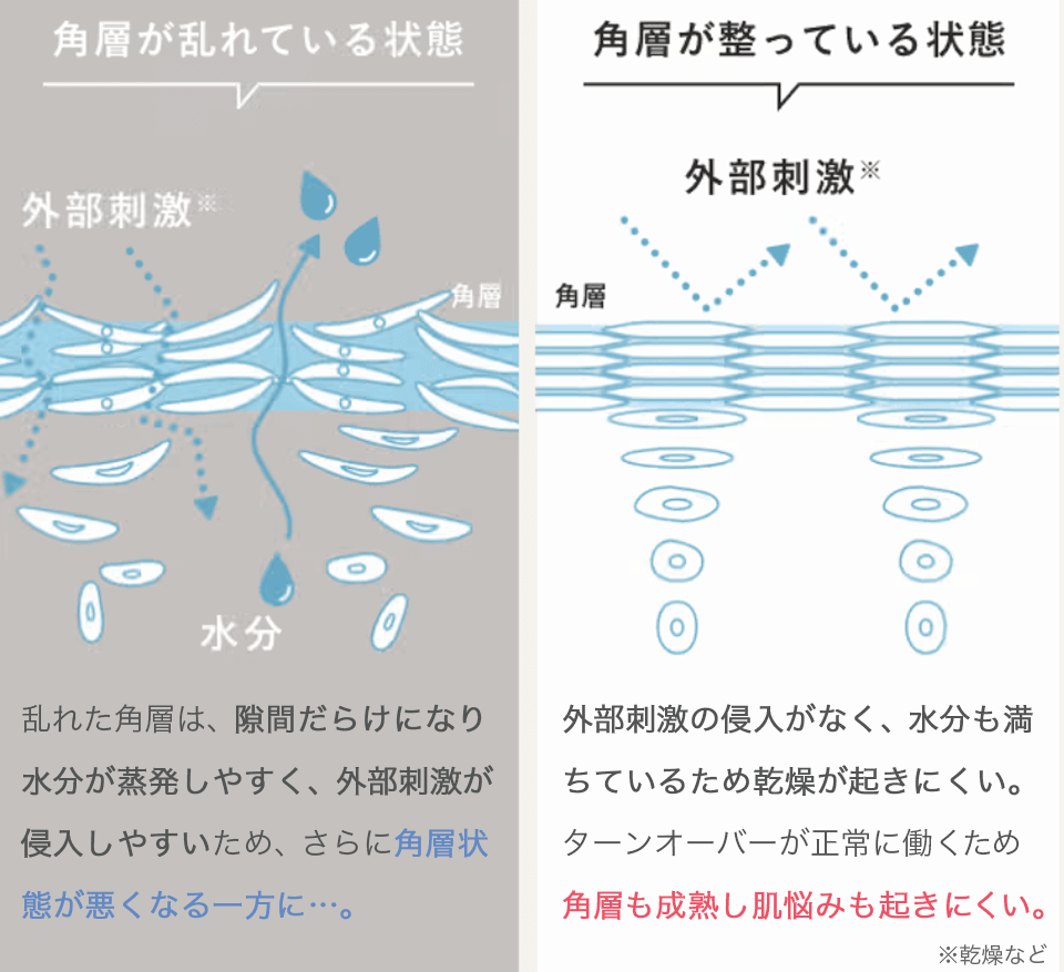 ディセンシアO/L