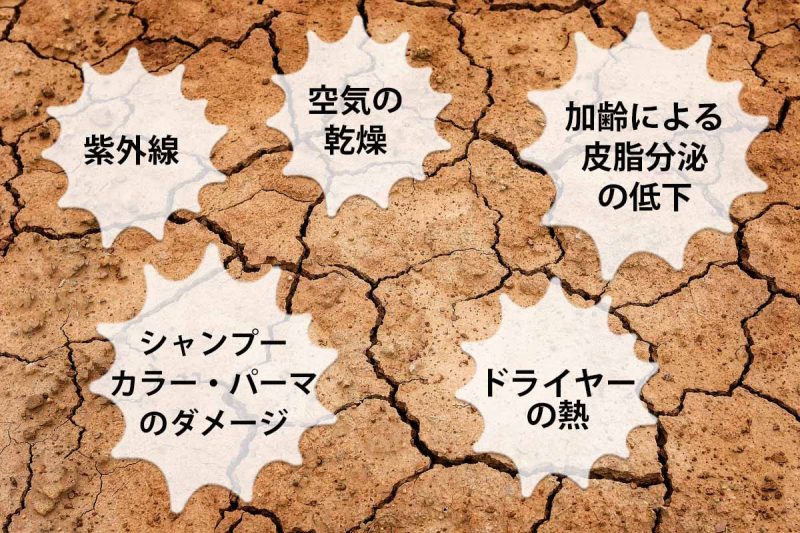 リリィジュ　頭皮が乾燥する原因