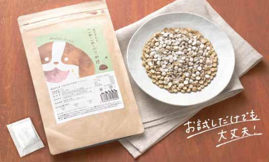 このこのふりかけ　お試しもOK