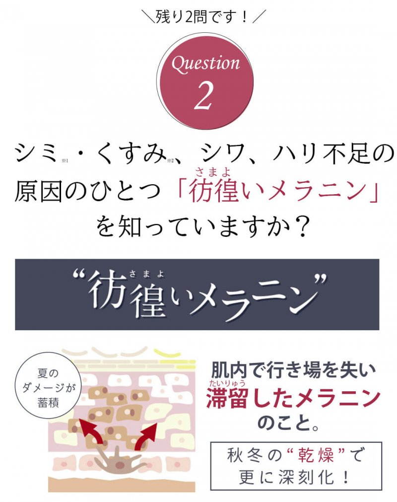 ドレススノー14日　質問2