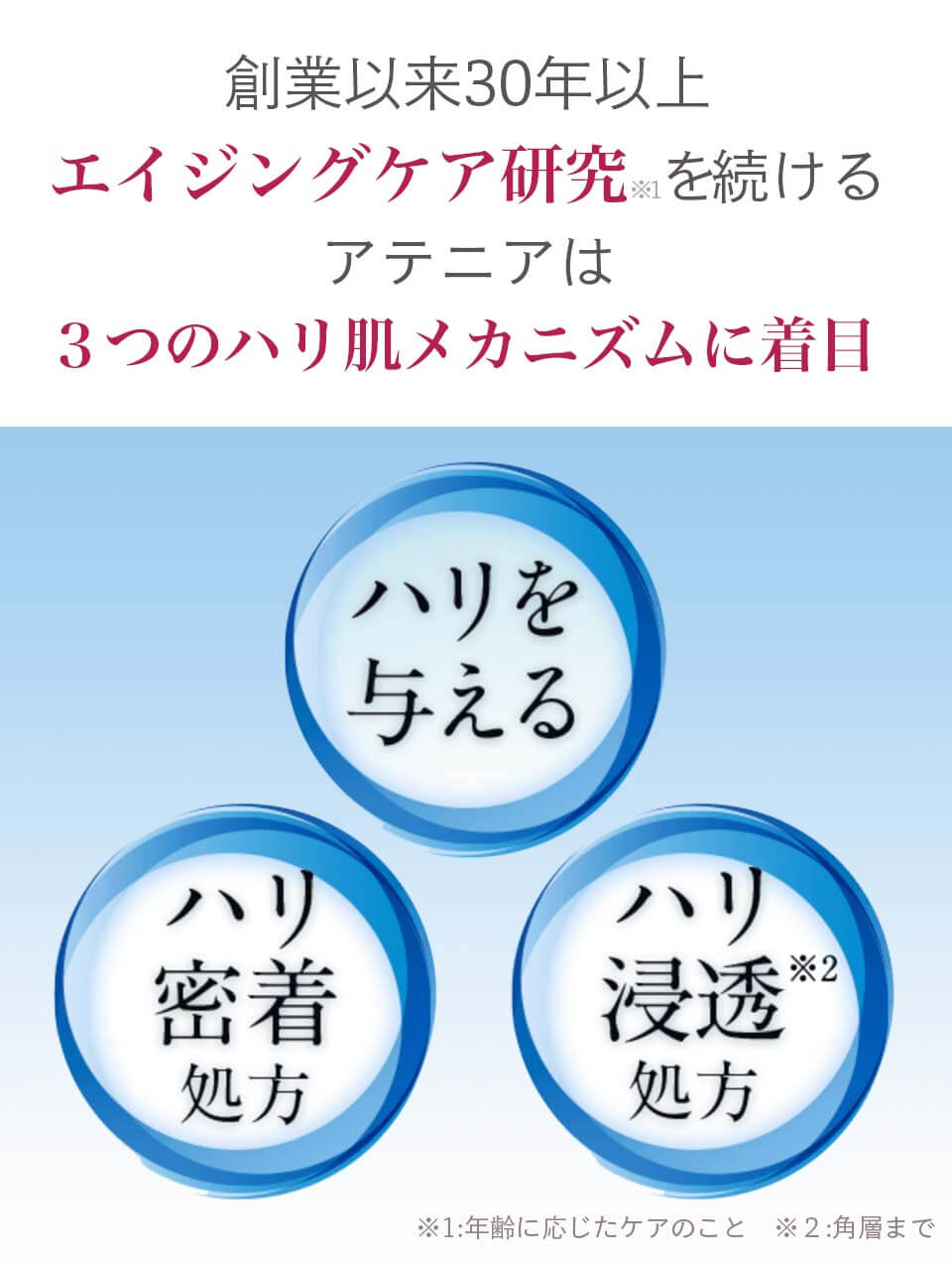 リフトアンケ小幡改修