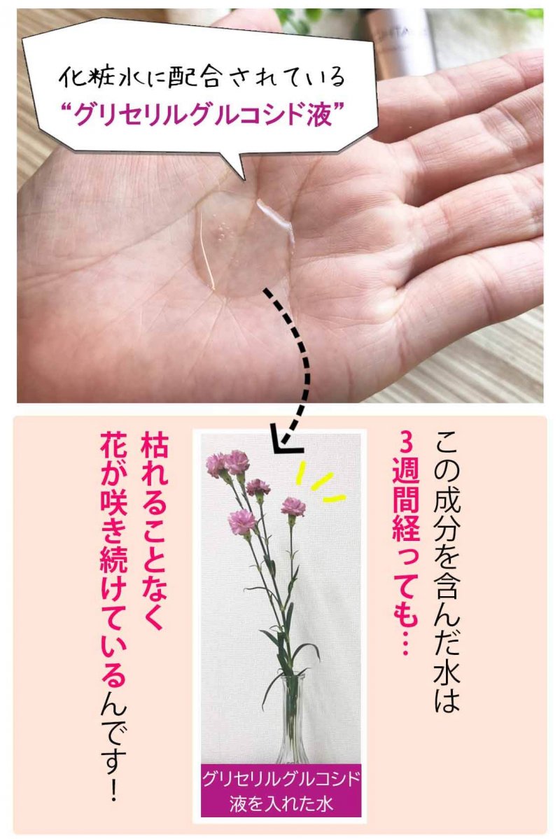 ブライトエイジ　実験