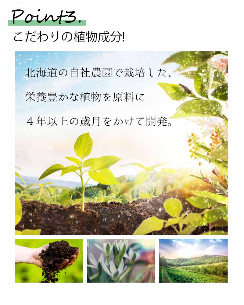 アルケミー　成分ポイント③