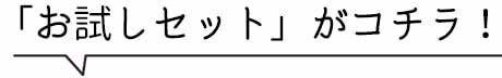 プリマモイスト お試しセット