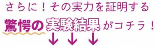 ブライトエイジ　実験