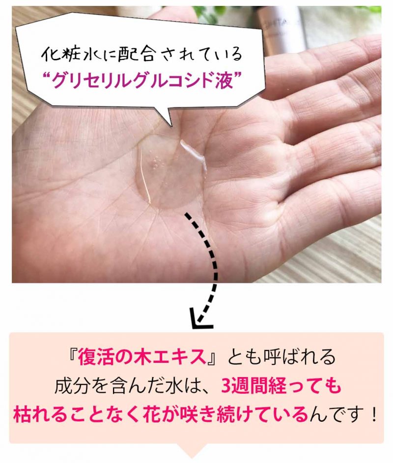 ブライトエイジ 比較実験