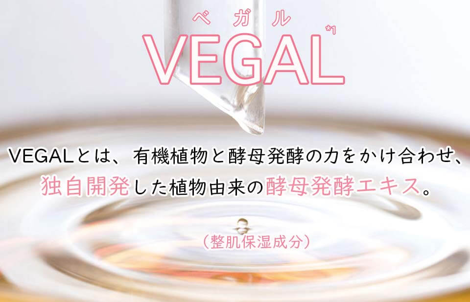 アルケミー小幡