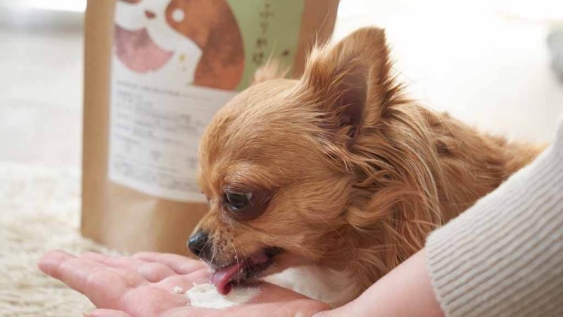 このこのふりかけ 口コミ①