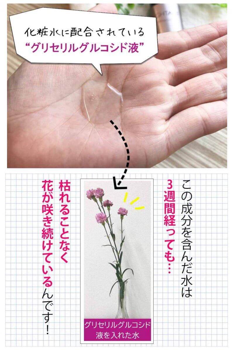 ブライトエイジ　実験