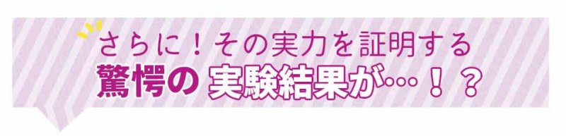 ブライトエイジ　実験