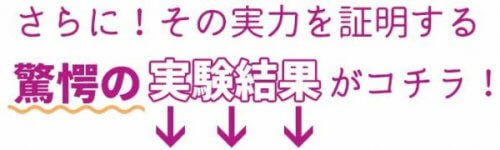 ブライトエイジ　実験