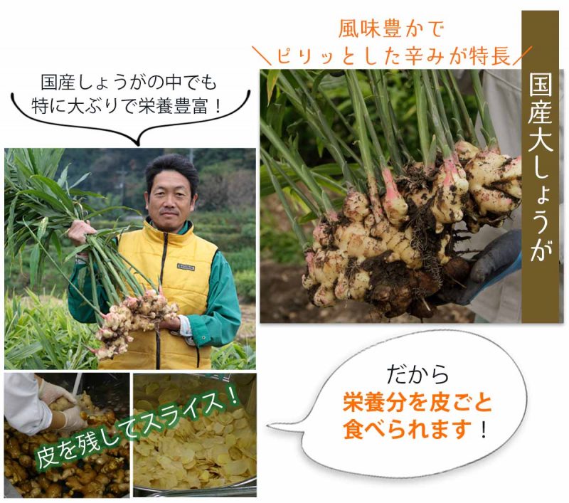 しょうがはちみつ漬 国産大しょうが