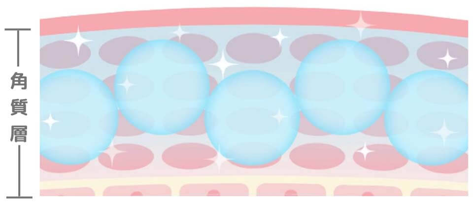 プリマモイスト　プロテオグリカン