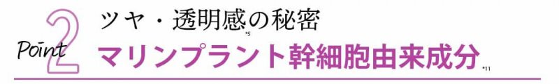 カナデルプレミアゼロ　成分　見出し