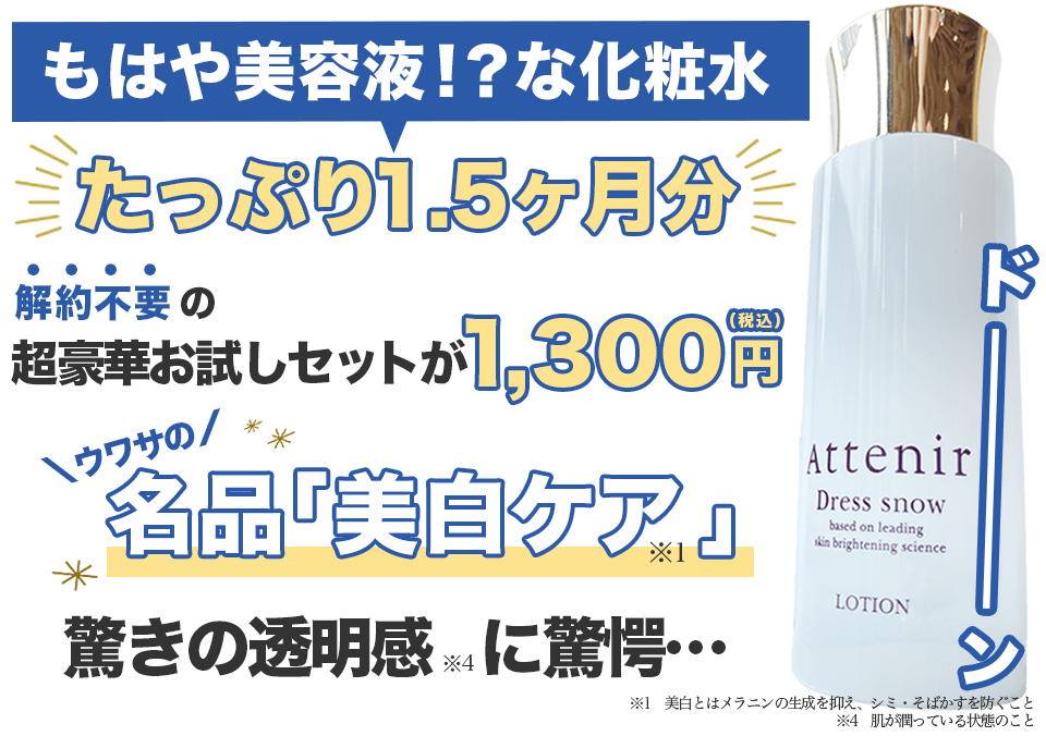 ドレススノーハーフ川野