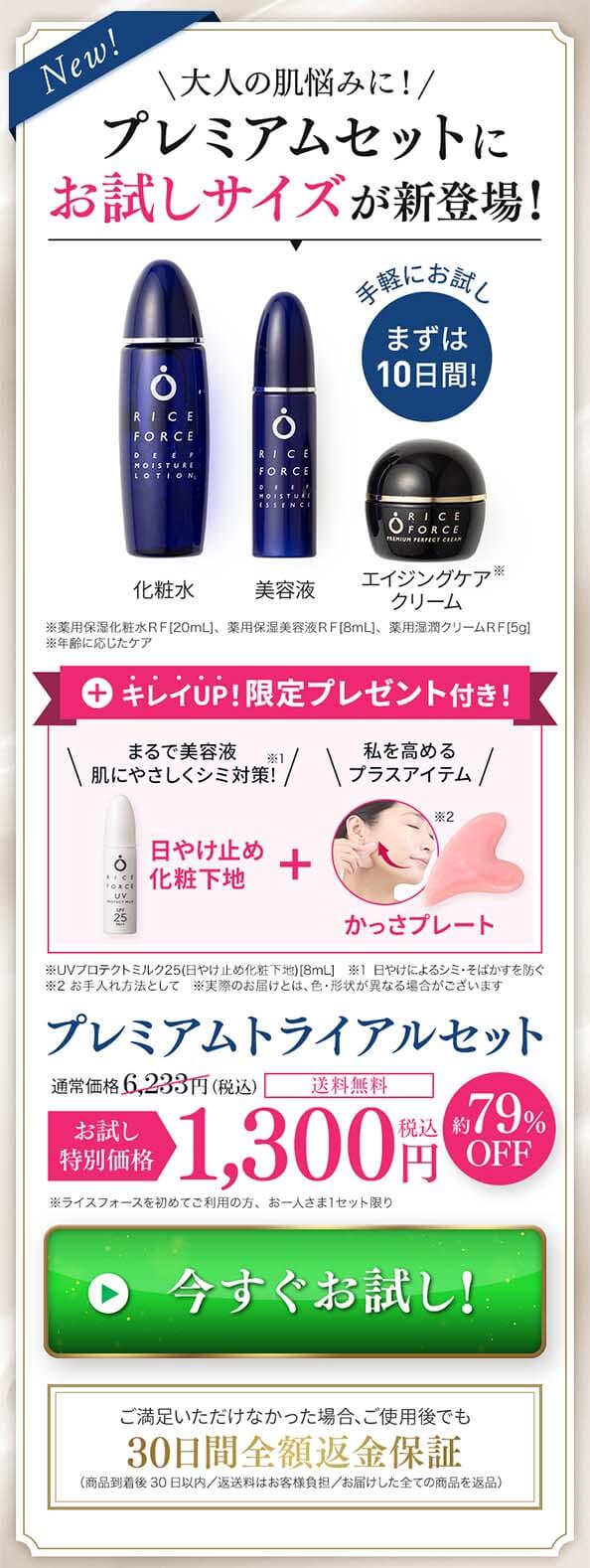 ライスフォース川野