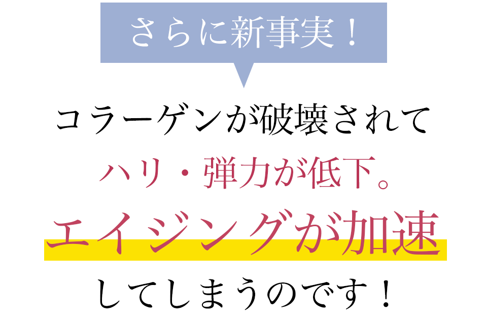 ドレススノーハーフ川野