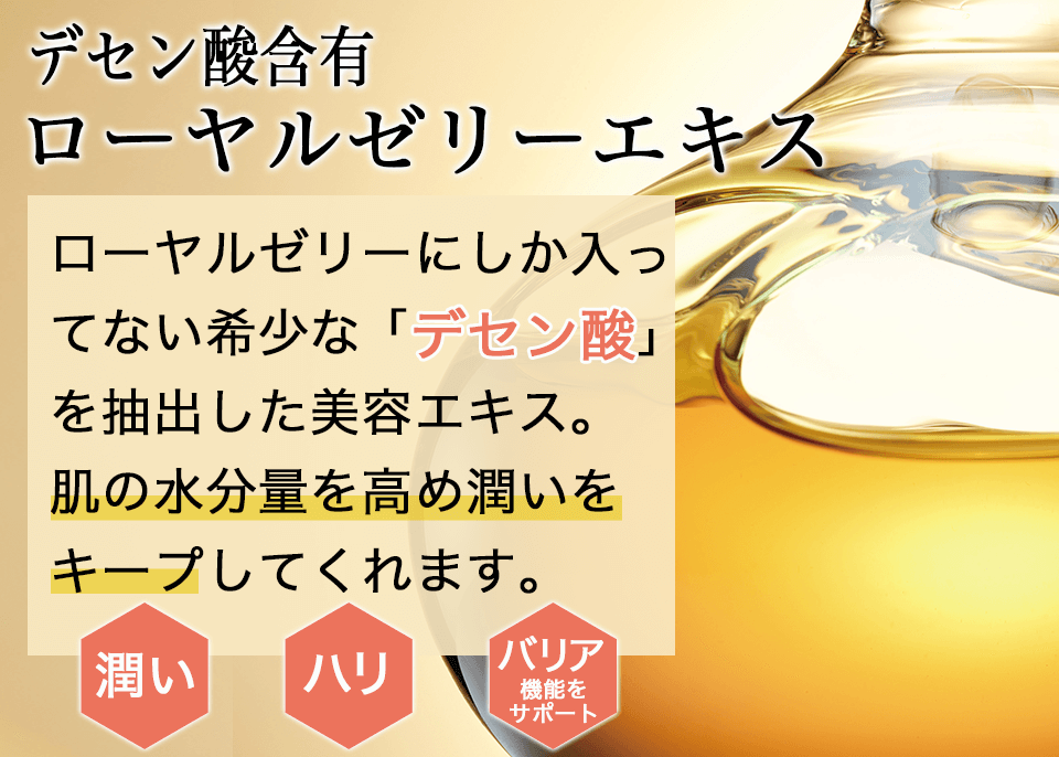 RJ_リニューアル