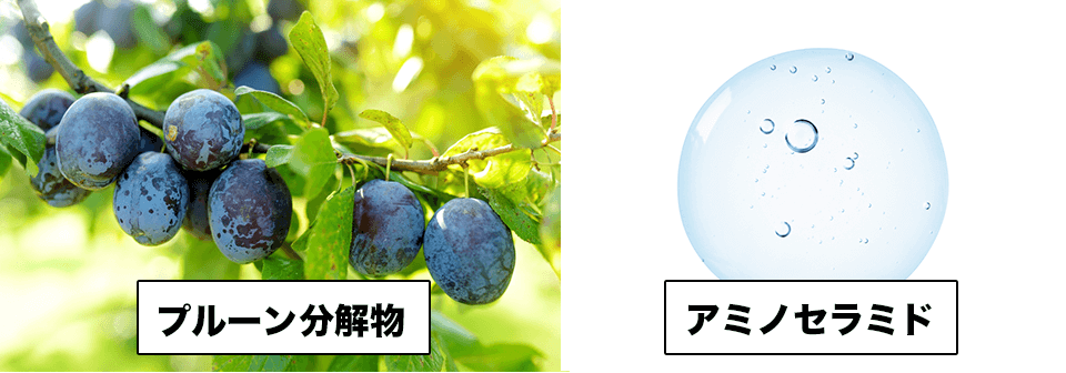 プライマーショット