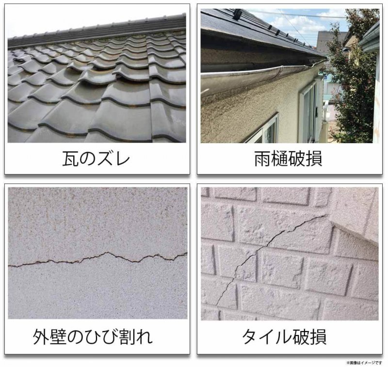 ホームアリー 調査結果