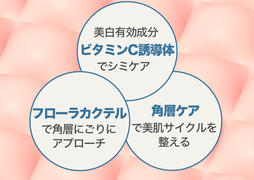 ディセンシアFL