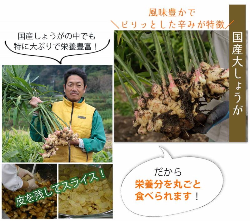 しょうがはちみつ漬　国産大しょうが