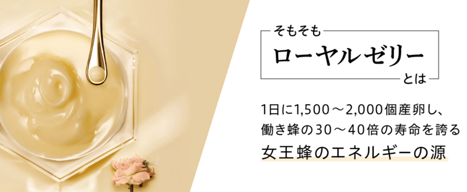 RJ_リニューアル