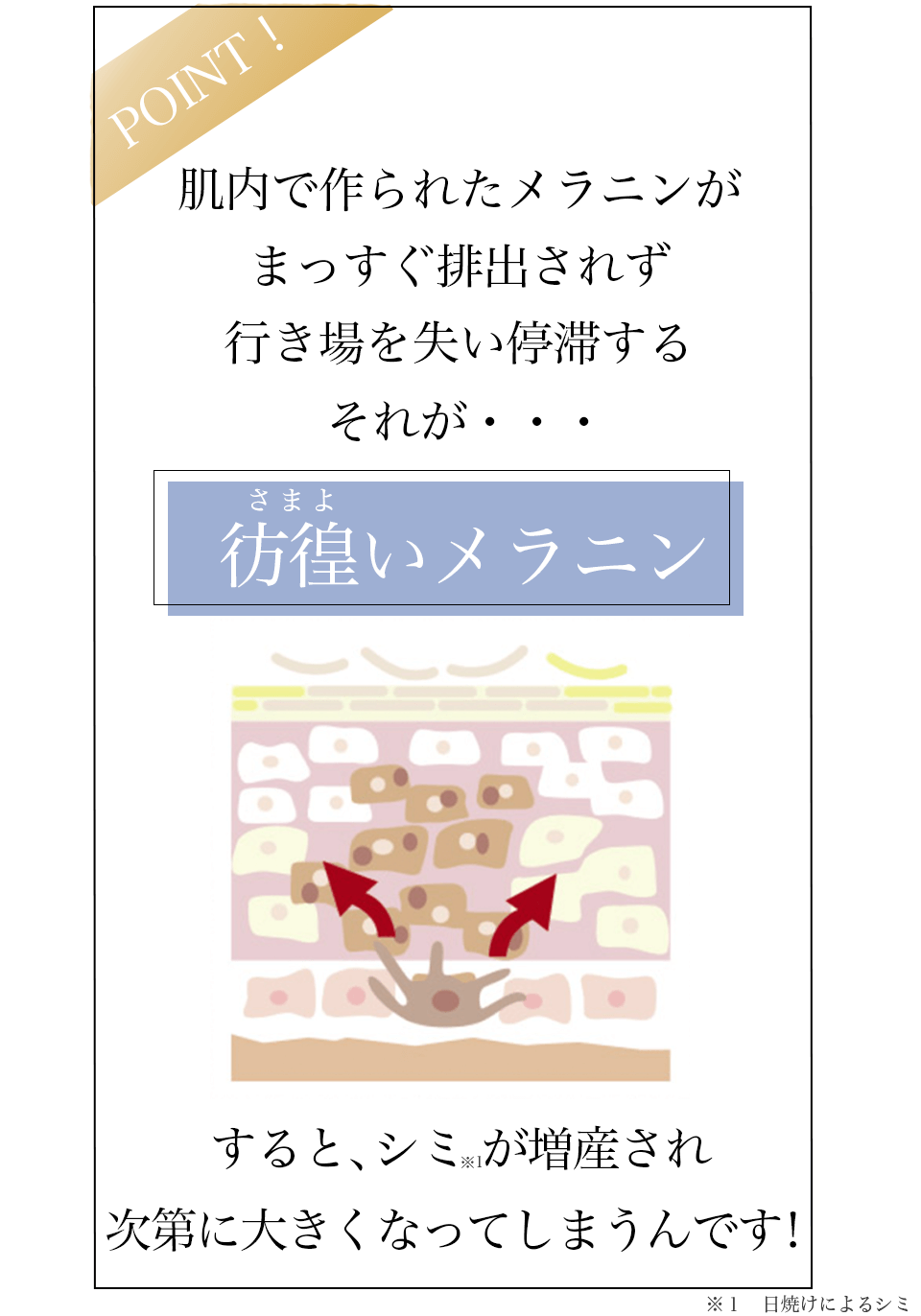 ドレススノーハーフ川野