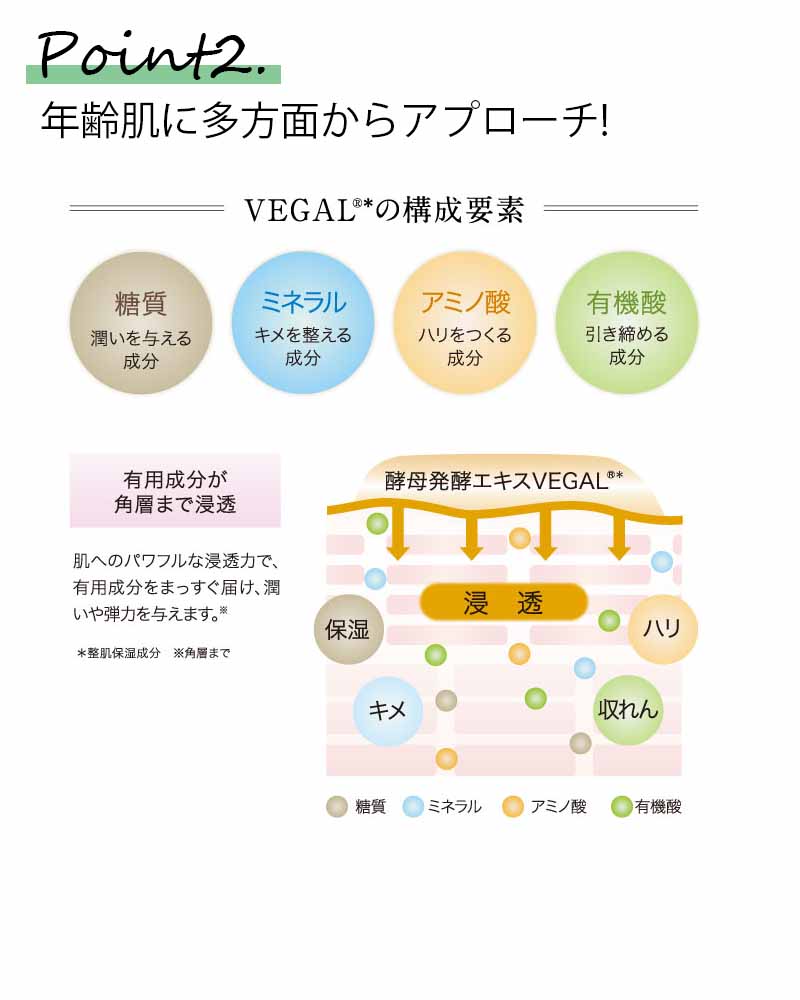 アルケミー　成分ポイント②